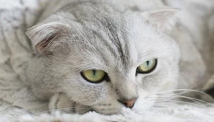 克孜勒苏伴游，定制QQ：3494206190微信：act1322